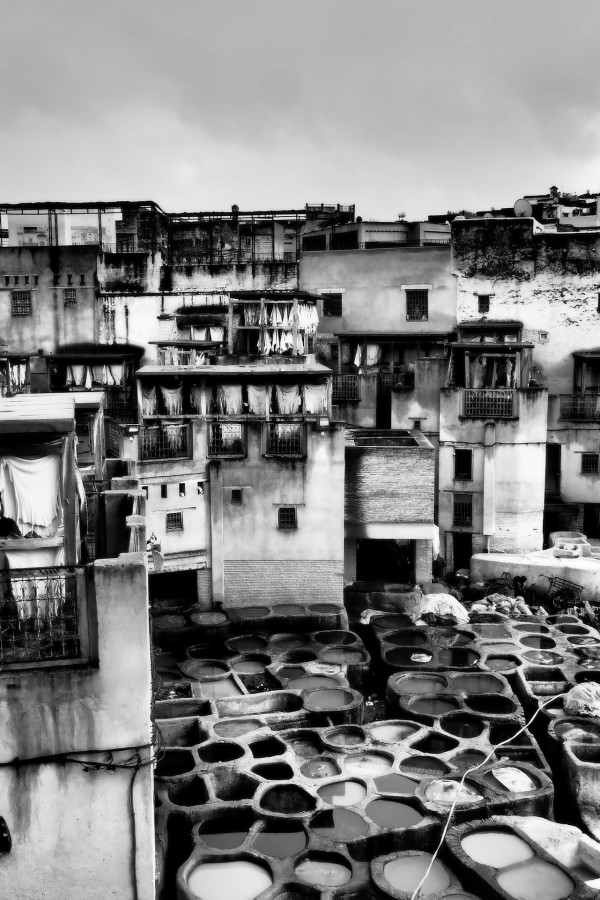 Stéphane Marty - Tannerie
